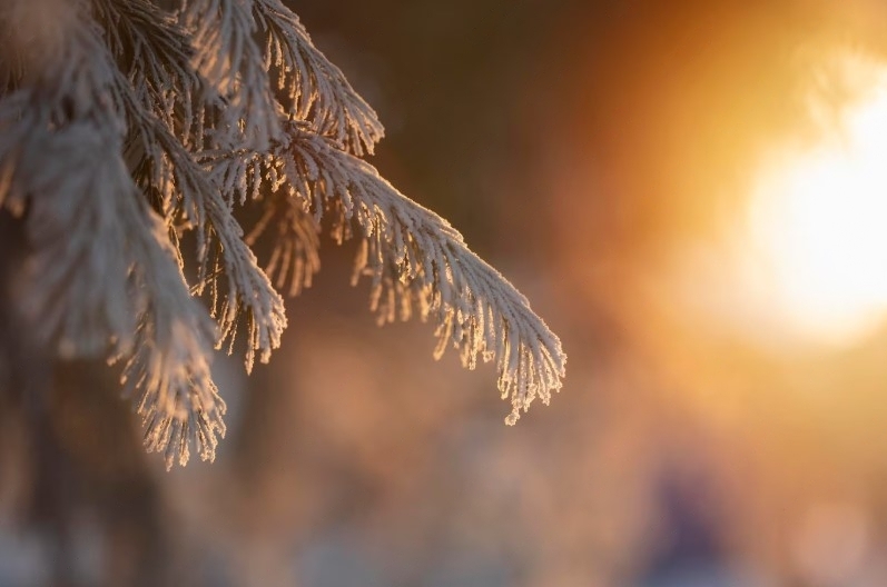 Евтропиев день 16 марта: какие запреты соблюдали на Руси и о чём говорят народные приметы | Евтропиев день 16 марта