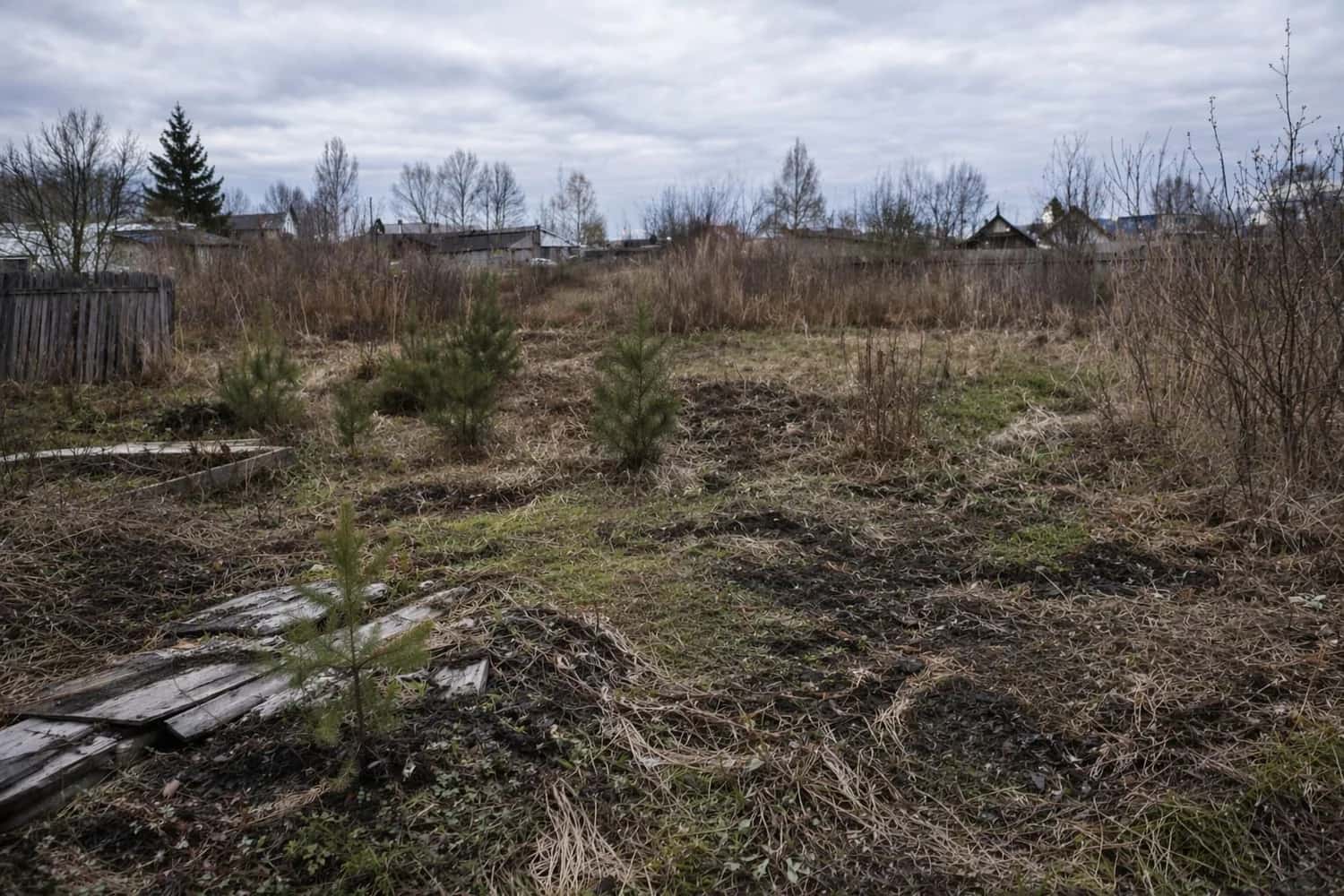 В России начали изымать заброшенные участки: за что можно лишиться земли