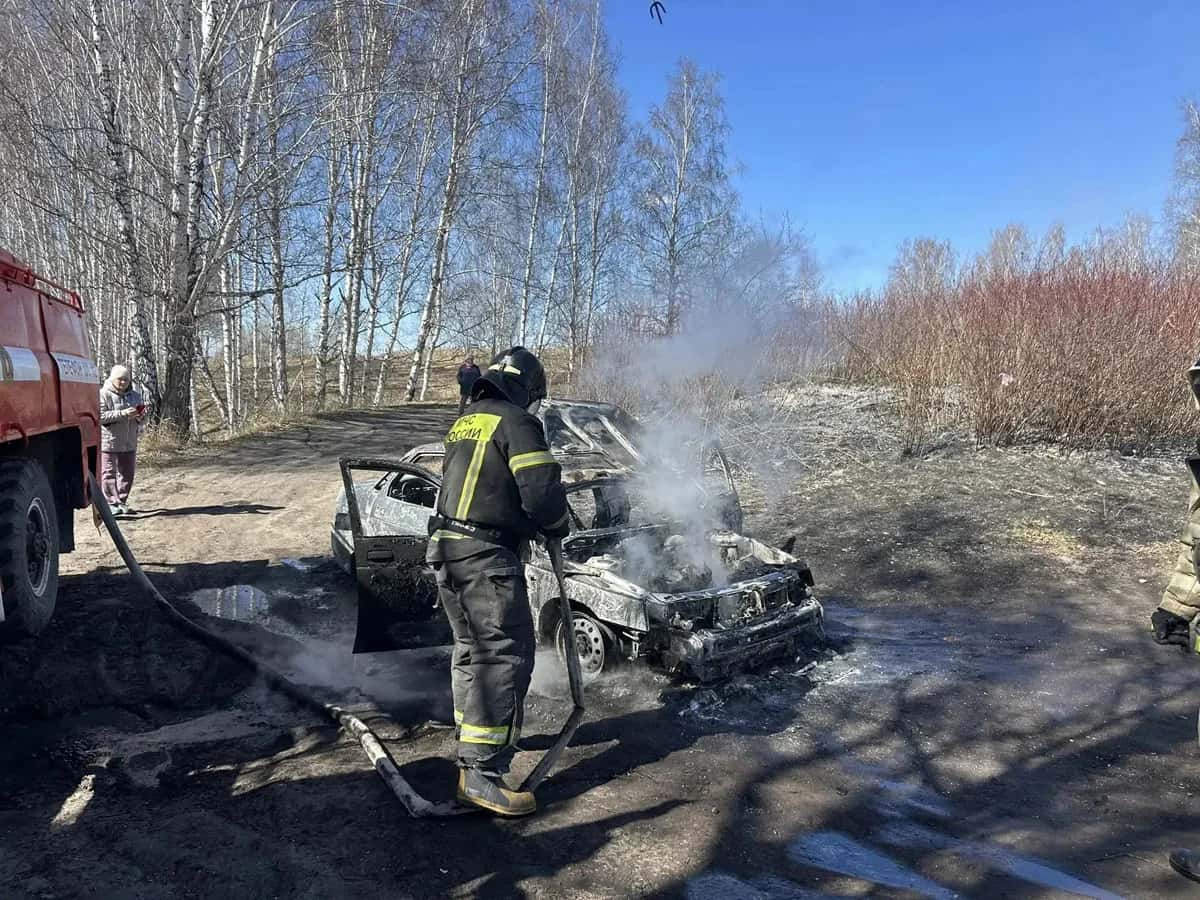 Пожары в Каменске-Уральском: за сутки сгорели авто и трава