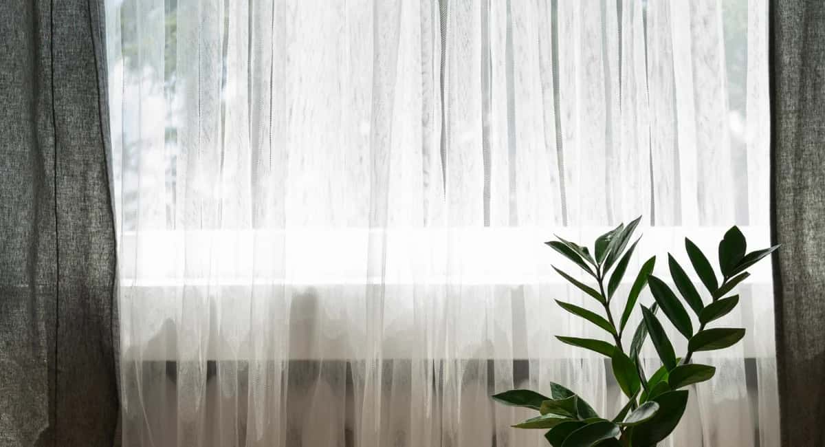 Больше не трачусь на средство для мытья окон: развожу 2 дешёвых компонента — стёкла чистые без разводов