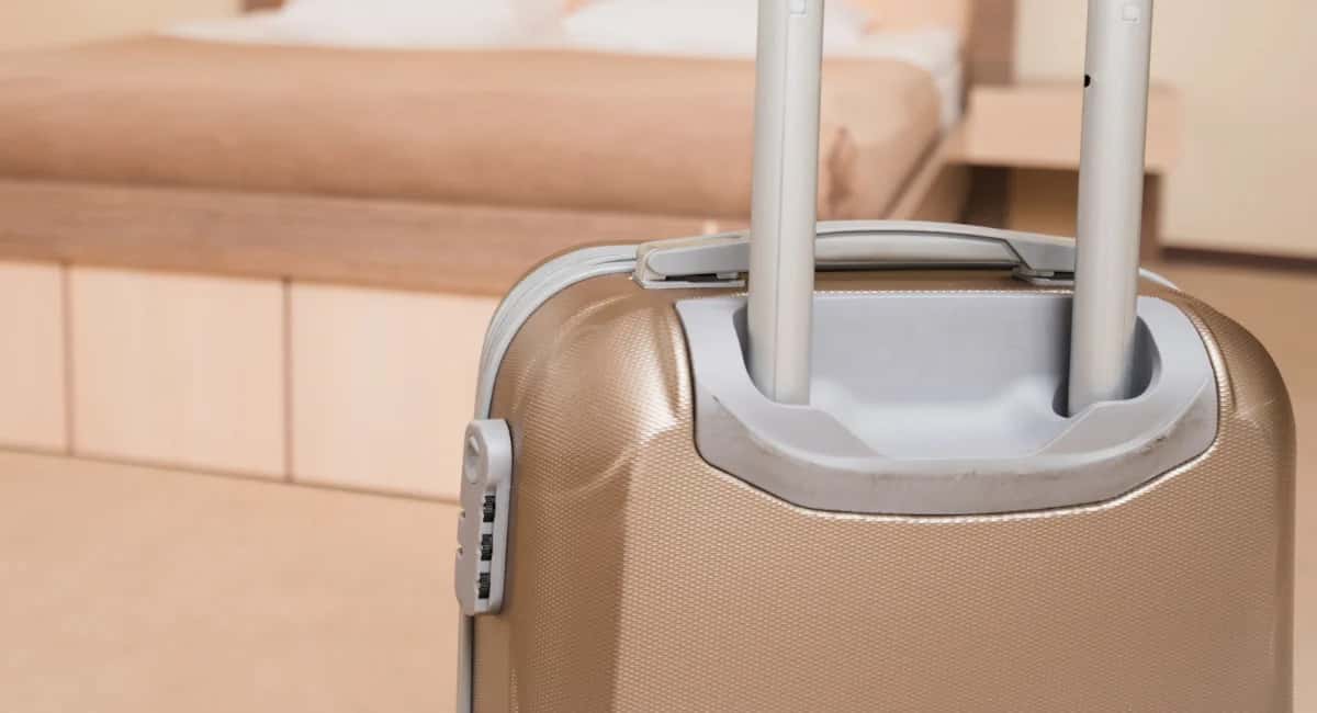 Забудьте про Сочи и Крым: уникальное место в 40 км от Москвы с термальными источниками и бамбуковыми рощами — россияне не знаю