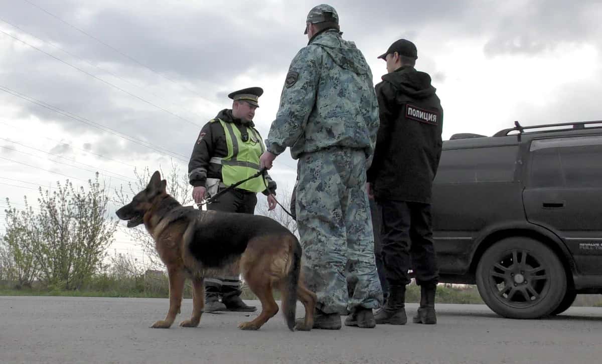В Каменске-Уральском поймали водителя с поддельными правами