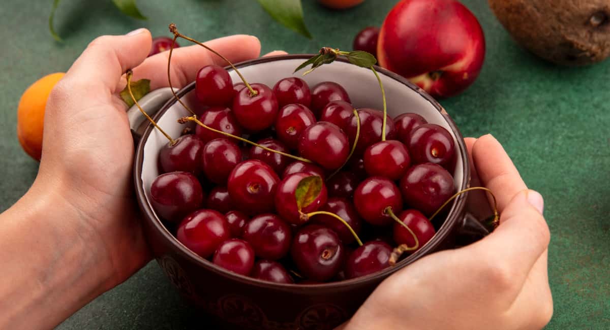 5 ложек под каждое дерево — и вишня вырастет крупнее муската и слаще меда: урожай придется собирать тачками