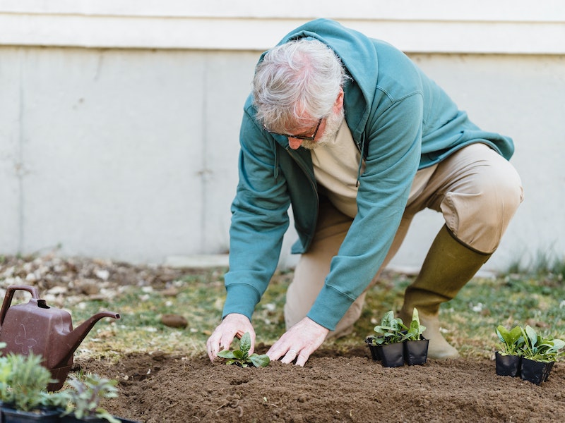 Штрафы и уголовная ответственность: что запрещено дачникам в 2026 году | Какие штрафы грозят дачникам в 2026 году