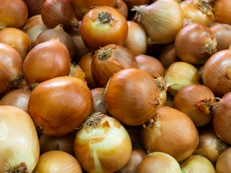 20 тонн лука из Казахстана не пустили в Свердловскую область | Россельхознадзор не пропустил в Свердловскую область 20 тонн репчатого лука