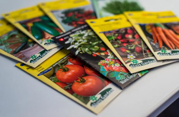 Что сеять на рассаду в марте 2026: полный список культур и лунный календарь | Март 2026: что сеять на рассаду и благоприятные дни по лунному календарю