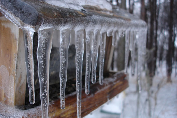 12 марта — день Прокопа Перезимнего: какие приметы и запреты связаны с этой датой | 12 марта — день Прокопа Перезимнего