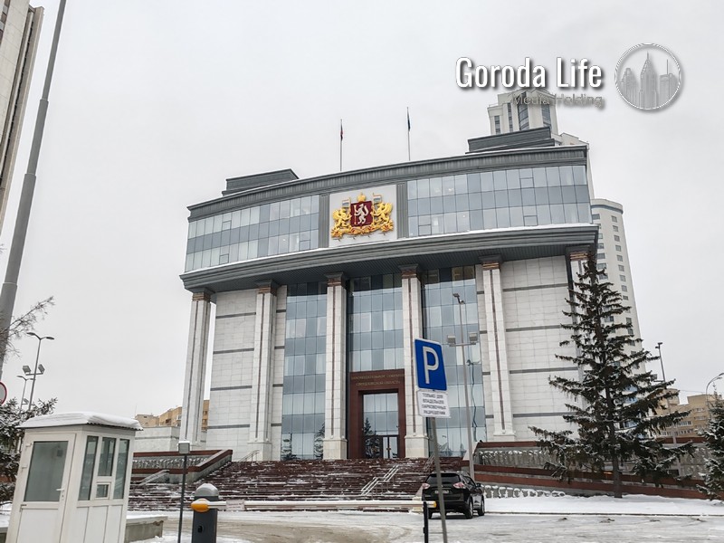 Закон о животных не работает: регионам нужно 2 млрд рублей, но денег нет | На Урале заявили о провале закона о животных