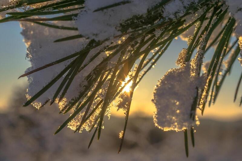 Синоптик Пулин — о погоде в Свердловской области 6 марта | Синоптик Пулин сообщил о потеплении в Свердловской области 6 марта
