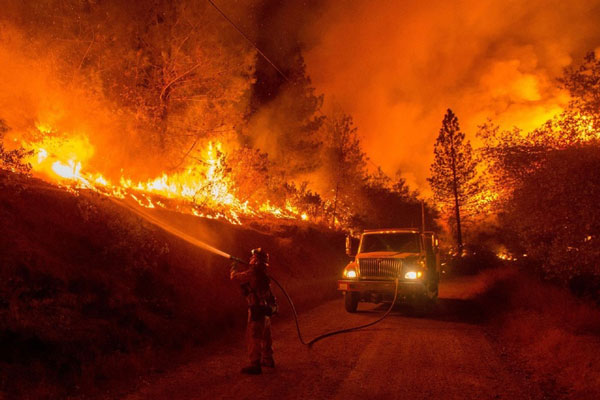 В Свердловской области запускают проект защиты населённых пунктов от лесных пожаров | В Свердловской области разработан проект по защите городов и сел от лесных пожаров
